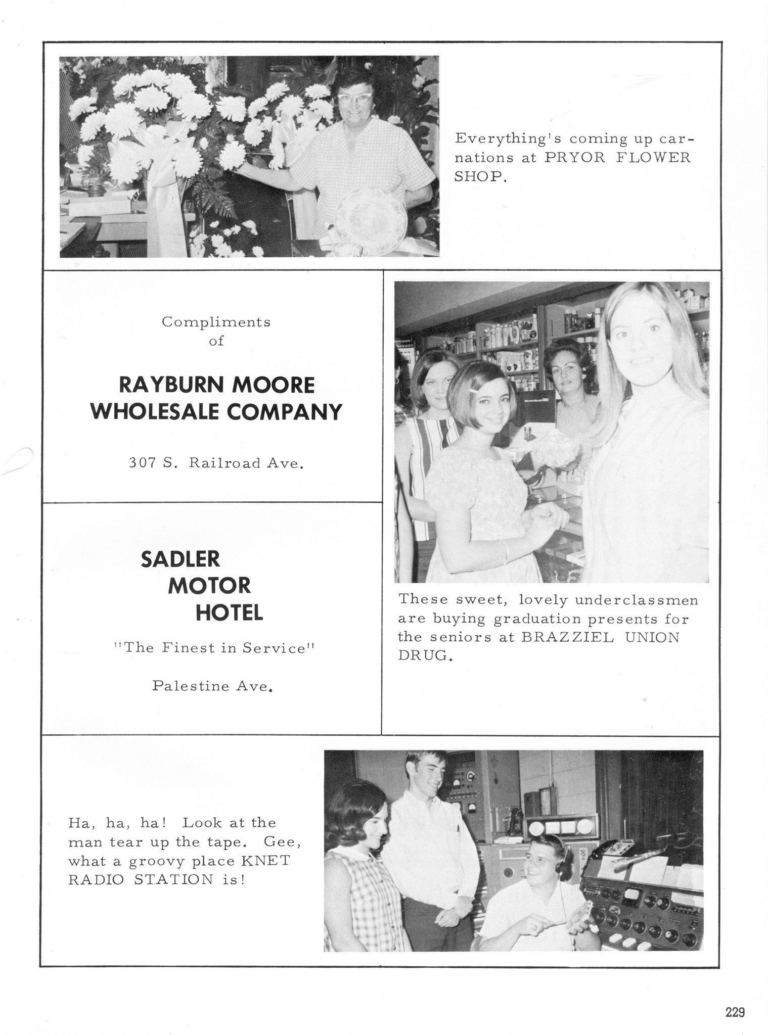 ../../../Images/Large/1968/Arclight-1968-pg0229.jpg