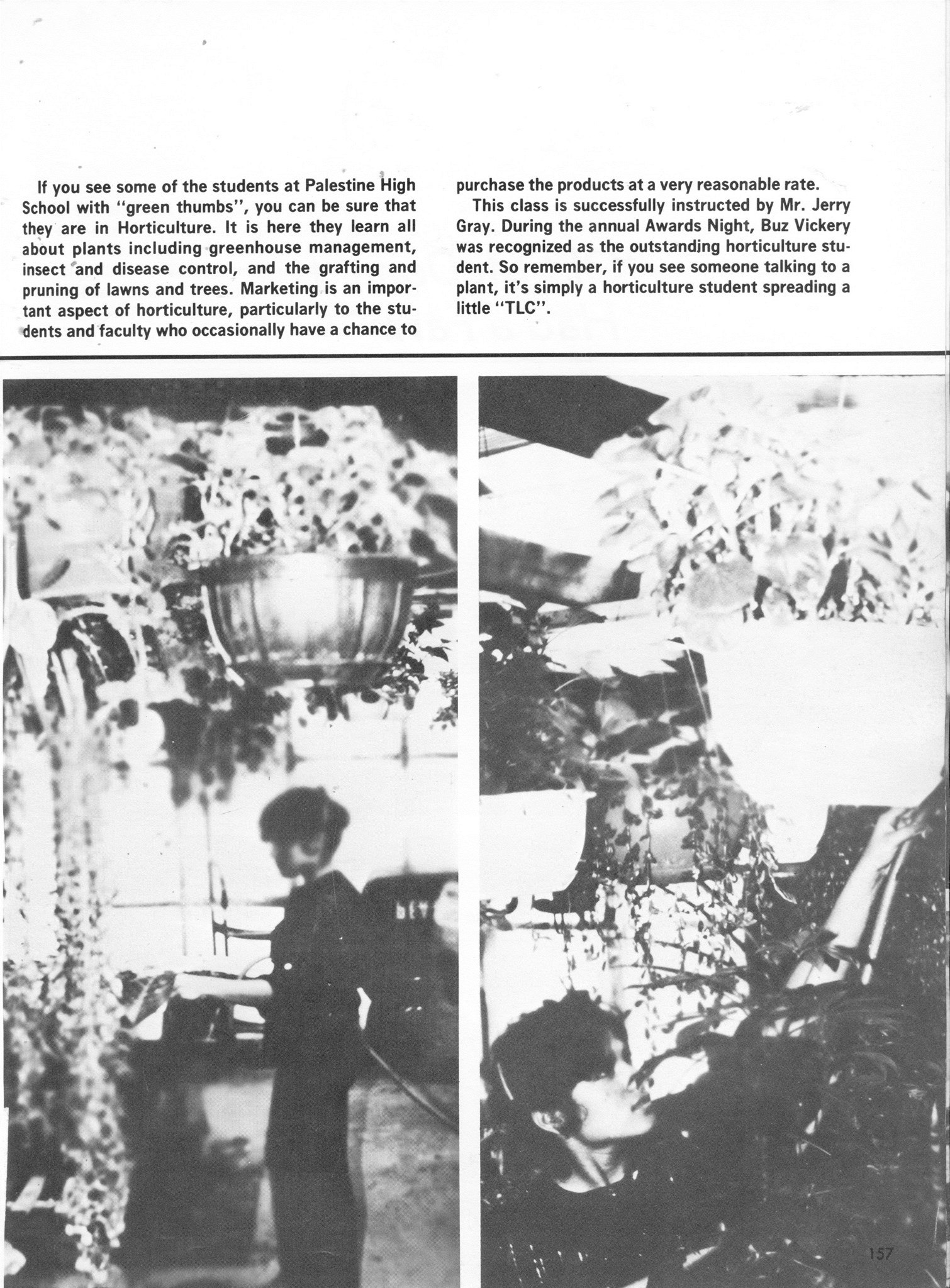 ../../../Images/Large/1980/Arclight-1980-pg0157.jpg