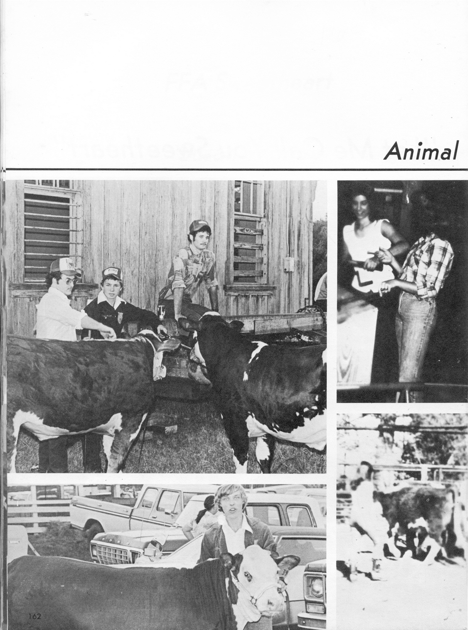 ../../../Images/Large/1980/Arclight-1980-pg0162.jpg